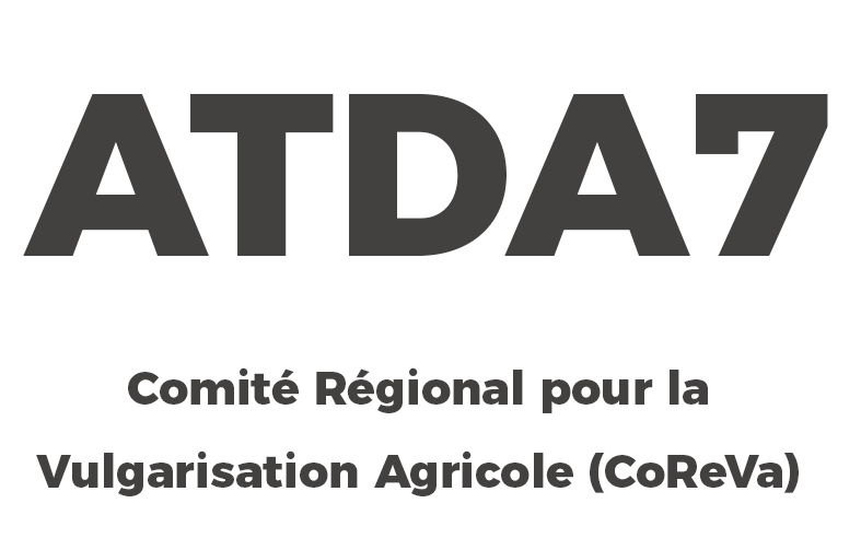 Partenaire 4